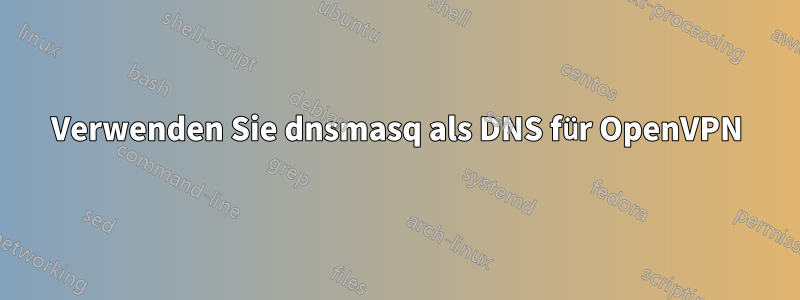 Verwenden Sie dnsmasq als DNS für OpenVPN