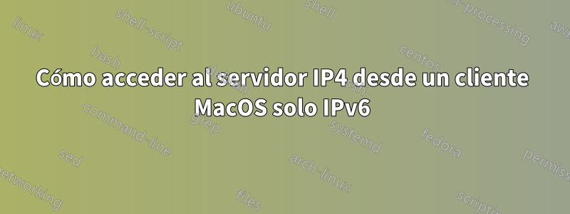 Cómo acceder al servidor IP4 desde un cliente MacOS solo IPv6