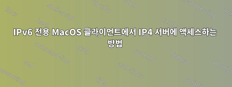 IPv6 전용 MacOS 클라이언트에서 IP4 서버에 액세스하는 방법