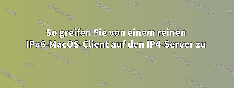 So greifen Sie von einem reinen IPv6-MacOS-Client auf den IP4-Server zu