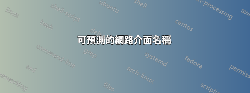 可預測的網路介面名稱