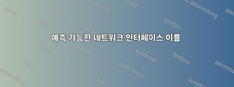 예측 가능한 네트워크 인터페이스 이름