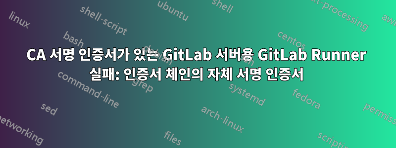 CA 서명 인증서가 있는 GitLab 서버용 GitLab Runner 실패: 인증서 체인의 자체 서명 인증서