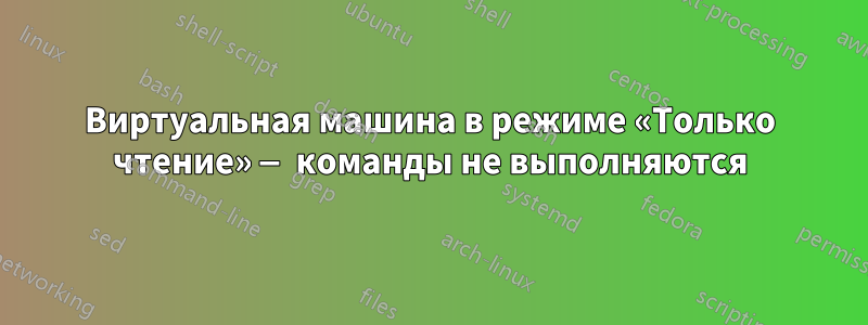 Виртуальная машина в режиме «Только чтение» — команды не выполняются