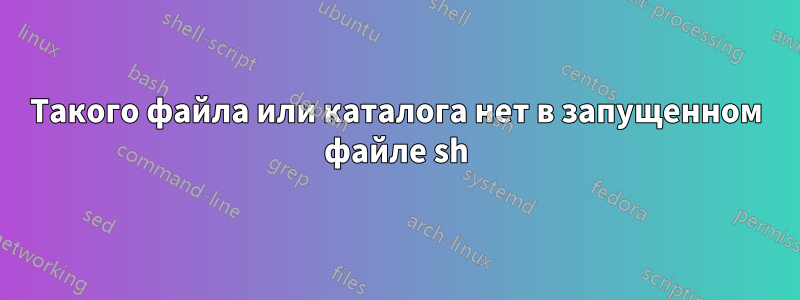 Такого файла или каталога нет в запущенном файле sh