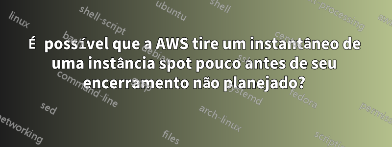 É possível que a AWS tire um instantâneo de uma instância spot pouco antes de seu encerramento não planejado?