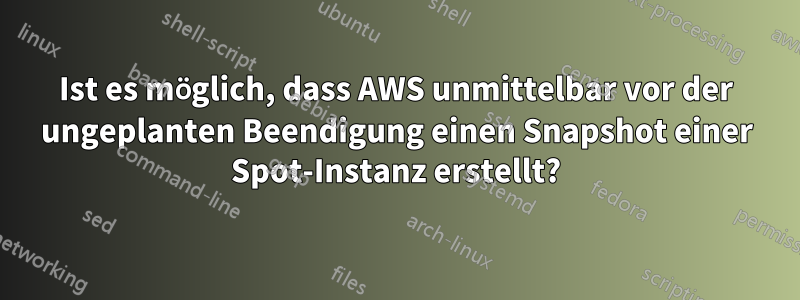 Ist es möglich, dass AWS unmittelbar vor der ungeplanten Beendigung einen Snapshot einer Spot-Instanz erstellt?