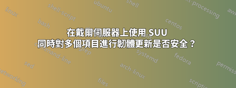 在戴爾伺服器上使用 SUU 同時對多個項目進行韌體更新是否安全？