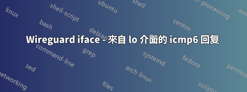 Wireguard iface - 來自 lo 介面的 icmp6 回复