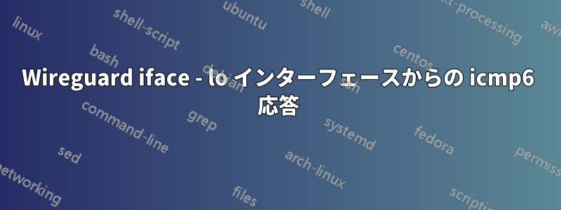 Wireguard iface - lo インターフェースからの icmp6 応答