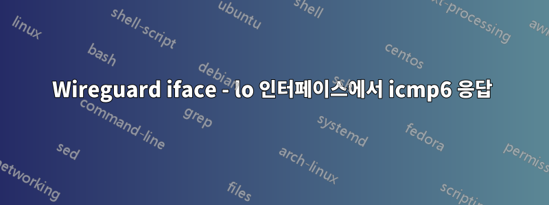 Wireguard iface - lo 인터페이스에서 icmp6 응답