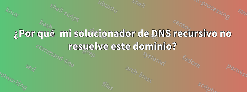 ¿Por qué mi solucionador de DNS recursivo no resuelve este dominio?