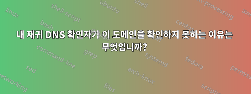 내 재귀 DNS 확인자가 이 도메인을 확인하지 못하는 이유는 무엇입니까?