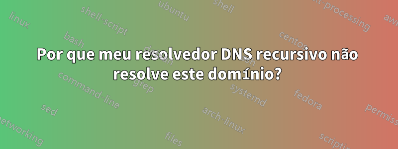 Por que meu resolvedor DNS recursivo não resolve este domínio?