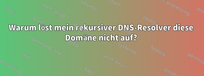 Warum löst mein rekursiver DNS-Resolver diese Domäne nicht auf?