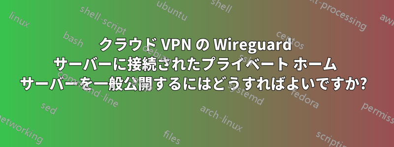 クラウド VPN の Wireguard サーバーに接続されたプライベート ホーム サーバーを一般公開するにはどうすればよいですか? 