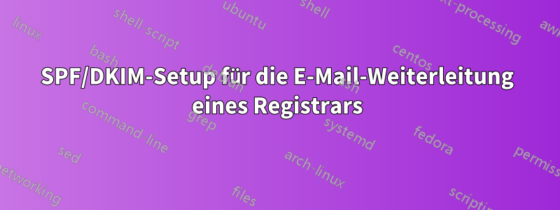 SPF/DKIM-Setup für die E-Mail-Weiterleitung eines Registrars