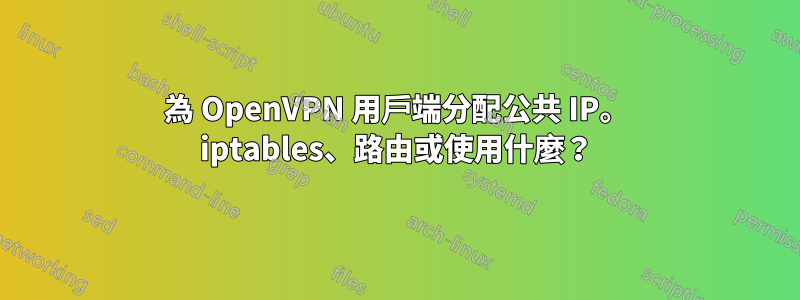 為 OpenVPN 用戶端分配公共 IP。 iptables、路由或使用什麼？