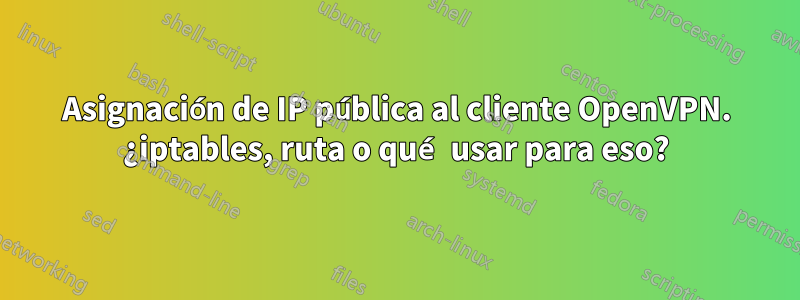 Asignación de IP pública al cliente OpenVPN. ¿iptables, ruta o qué usar para eso?