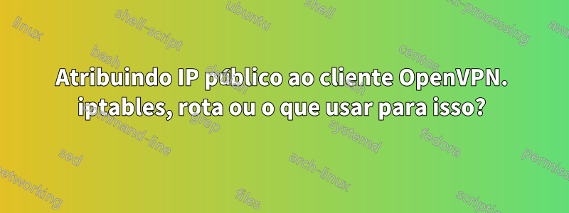 Atribuindo IP público ao cliente OpenVPN. iptables, rota ou o que usar para isso?