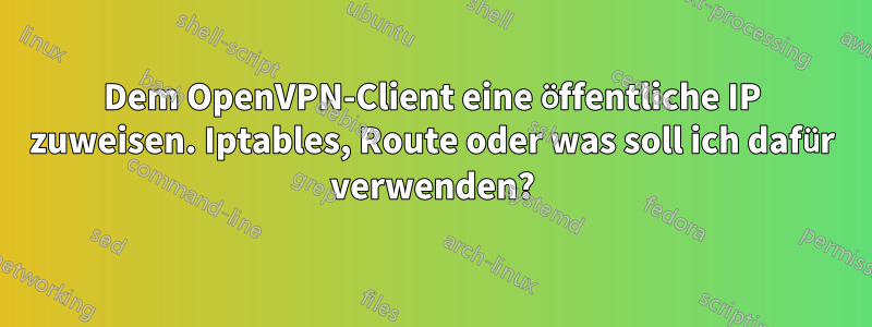 Dem OpenVPN-Client eine öffentliche IP zuweisen. Iptables, Route oder was soll ich dafür verwenden?