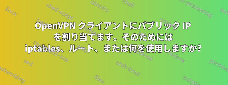 OpenVPN クライアントにパブリック IP を割り当てます。そのためには iptables、ルート、または何を使用しますか?