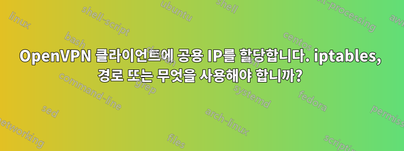 OpenVPN 클라이언트에 공용 IP를 할당합니다. iptables, 경로 또는 무엇을 사용해야 합니까?