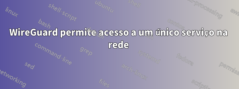 WireGuard permite acesso a um único serviço na rede