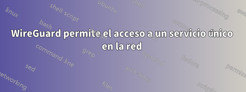 WireGuard permite el acceso a un servicio único en la red