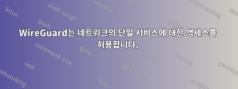 WireGuard는 네트워크의 단일 서비스에 대한 액세스를 허용합니다.