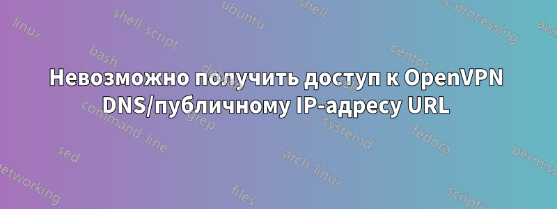 Невозможно получить доступ к OpenVPN DNS/публичному IP-адресу URL