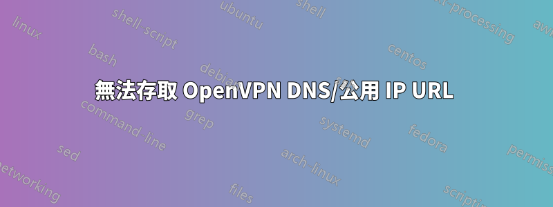 無法存取 OpenVPN DNS/公用 IP URL