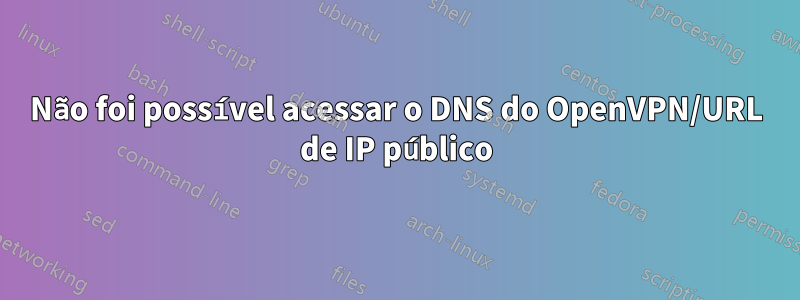 Não foi possível acessar o DNS do OpenVPN/URL de IP público