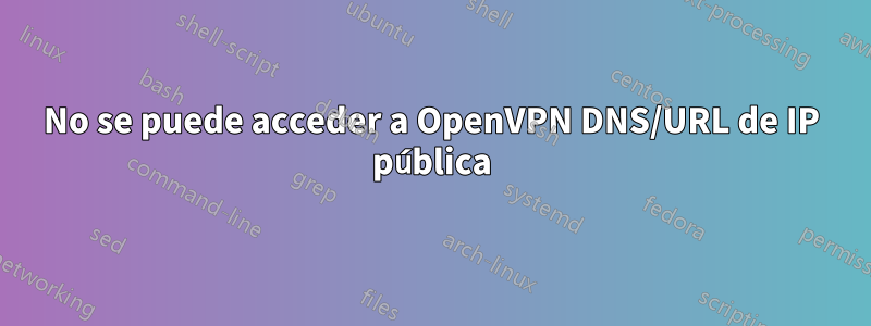 No se puede acceder a OpenVPN DNS/URL de IP pública