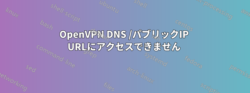 OpenVPN DNS /パブリックIP URLにアクセスできません