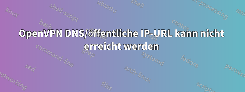 OpenVPN DNS/öffentliche IP-URL kann nicht erreicht werden