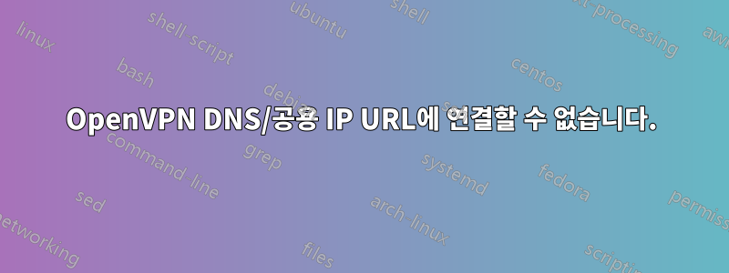 OpenVPN DNS/공용 IP URL에 연결할 수 없습니다.