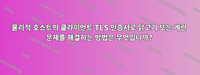 물리적 호스트의 클라이언트 TLS 인증서로 닭고기 또는 계란 문제를 해결하는 방법은 무엇입니까?