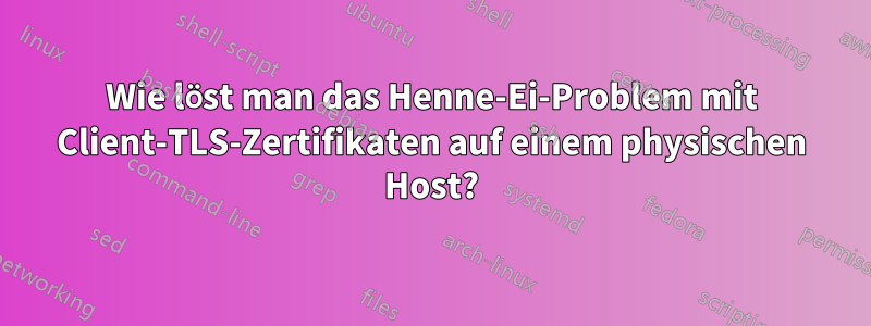 Wie löst man das Henne-Ei-Problem mit Client-TLS-Zertifikaten auf einem physischen Host?