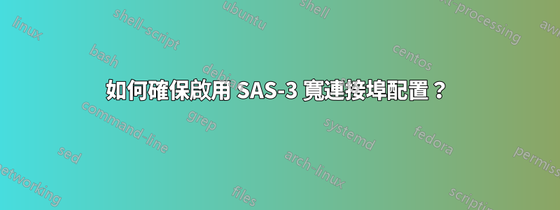 如何確保啟用 SAS-3 寬連接埠配置？