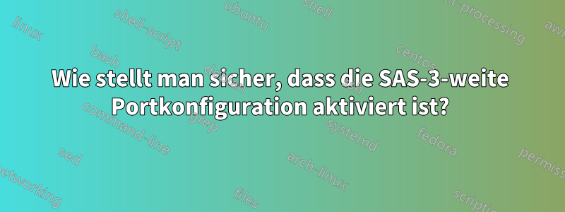 Wie stellt man sicher, dass die SAS-3-weite Portkonfiguration aktiviert ist?