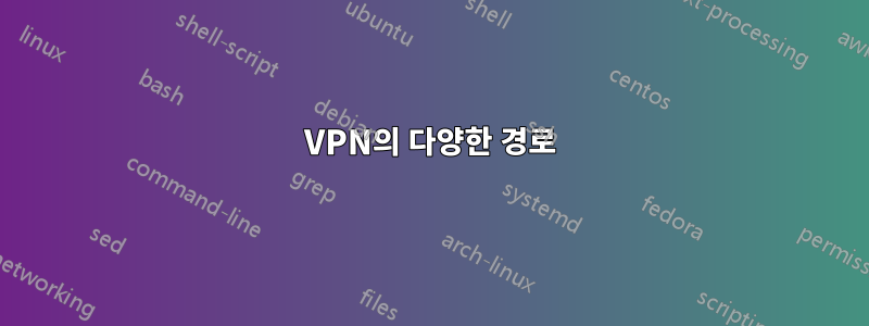 VPN의 다양한 경로