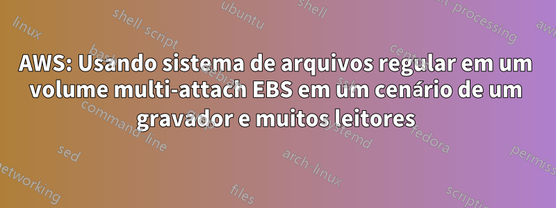 AWS: Usando sistema de arquivos regular em um volume multi-attach EBS em um cenário de um gravador e muitos leitores