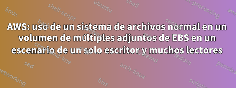 AWS: uso de un sistema de archivos normal en un volumen de múltiples adjuntos de EBS en un escenario de un solo escritor y muchos lectores