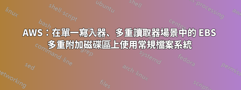 AWS：在單一寫入器、多重讀取器場景中的 EBS 多重附加磁碟區上使用常規檔案系統