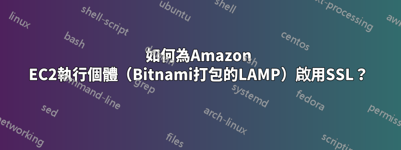 如何為Amazon EC2執行個體（Bitnami打包的LAMP）啟用SSL？