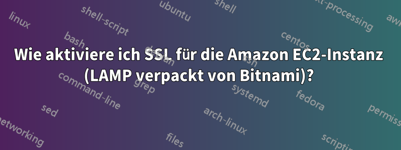 Wie aktiviere ich SSL für die Amazon EC2-Instanz (LAMP verpackt von Bitnami)?