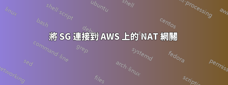 將 SG 連接到 AWS 上的 NAT 網關