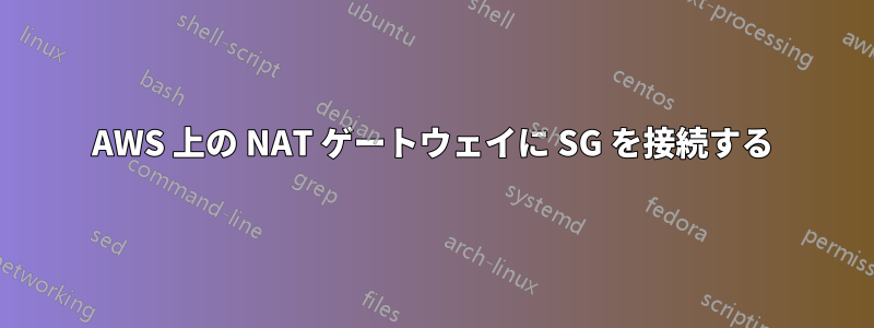 AWS 上の NAT ゲートウェイに SG を接続する