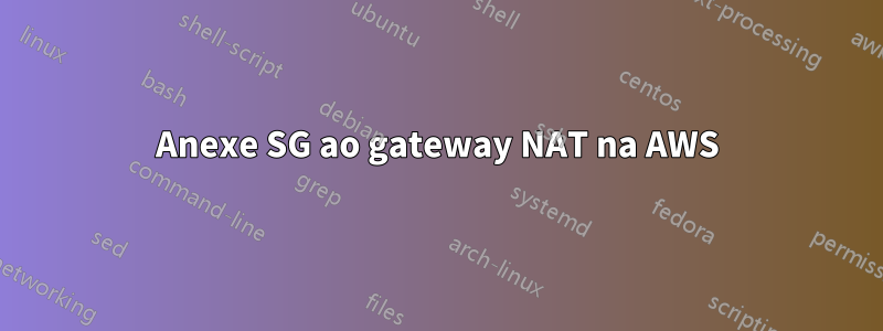 Anexe SG ao gateway NAT na AWS